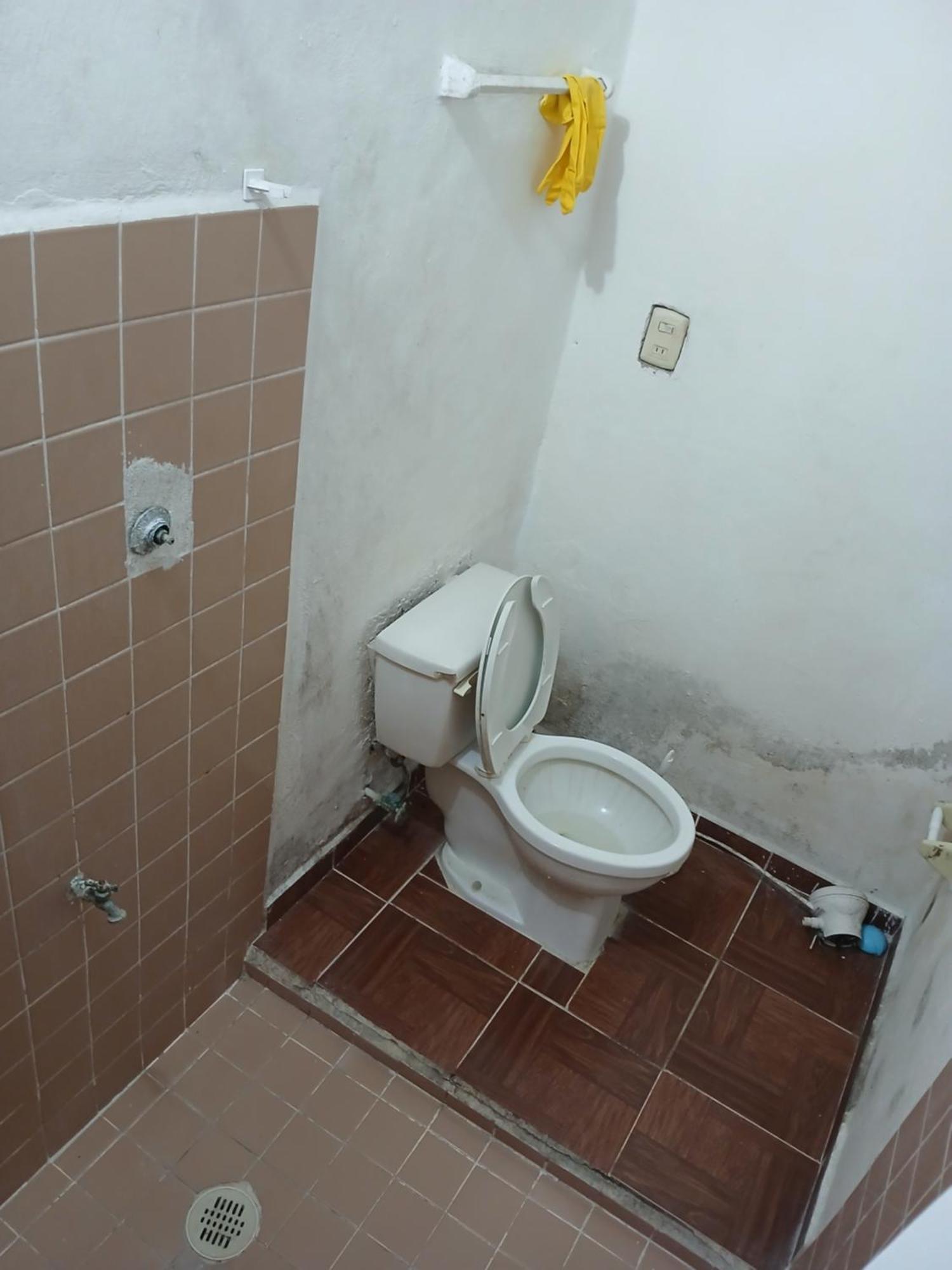 Rhinos House Apartment
